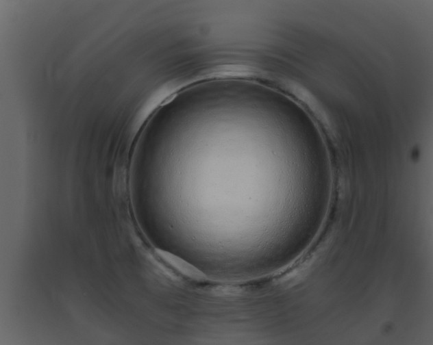 X0000093531473200710191343