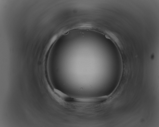 X0000093531475200710191343