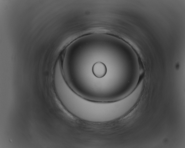 X0000093531477200710191343