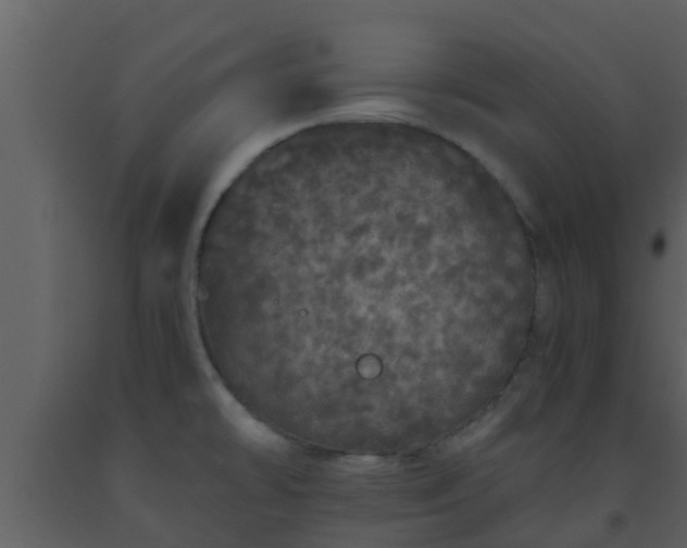 X0000093531478200710191343