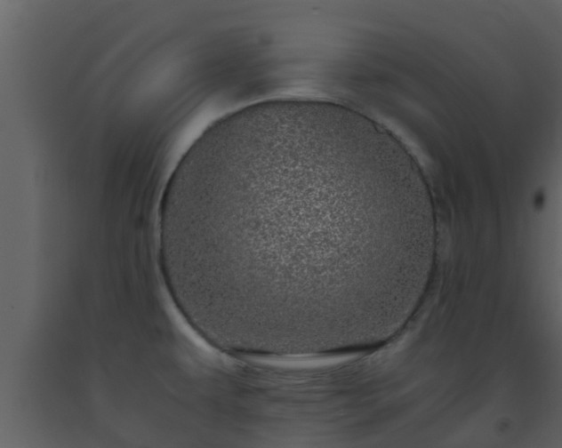 X0000093531479200710191343