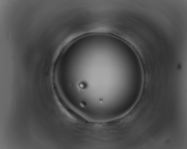 X0000093531480200710191343