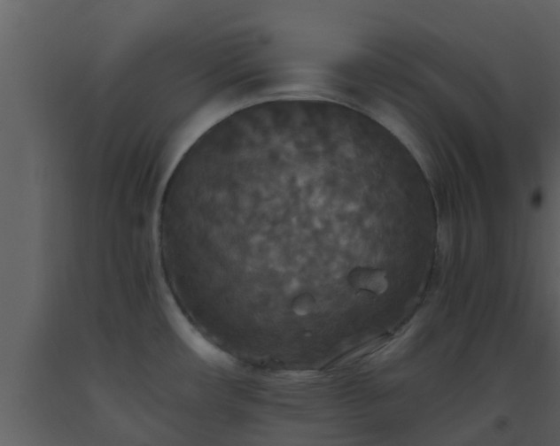 X0000093531482200710191343