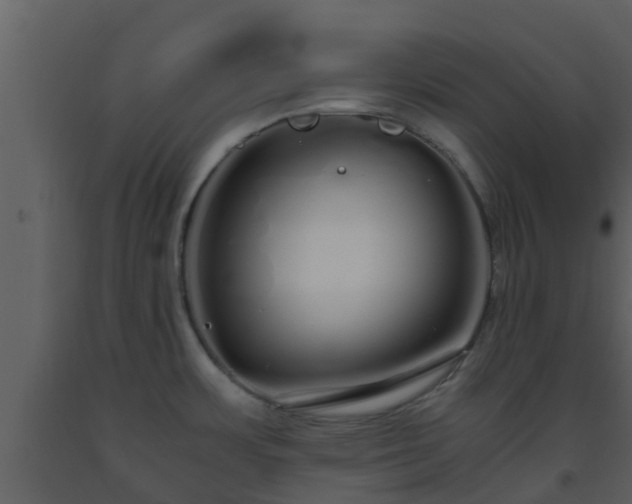 X0000093531483200710191343