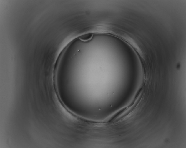 X0000093531484200710191343