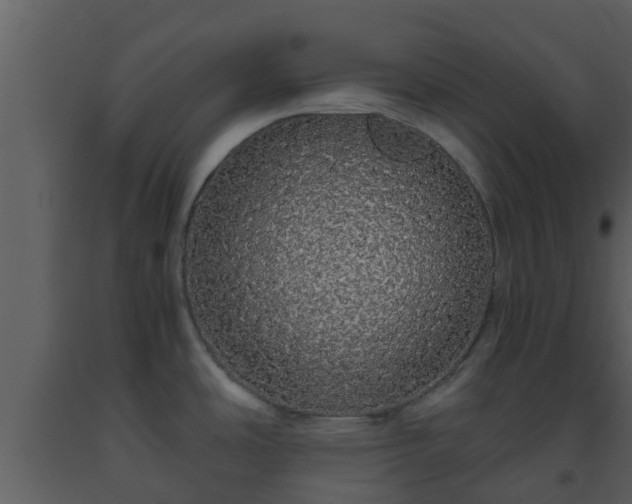 X0000093531486200710191343