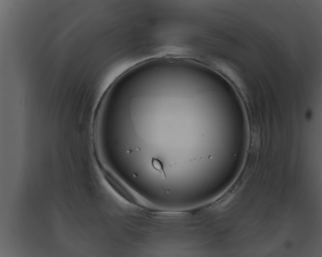 X0000093531487200710191343