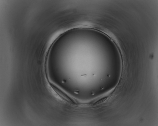 X0000093531488200710191343