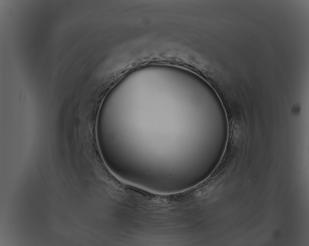 X0000093531489200710191342