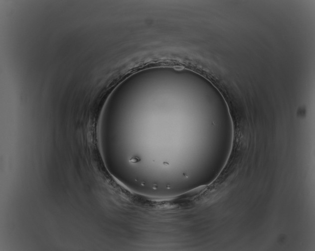 X0000093531490200710191342