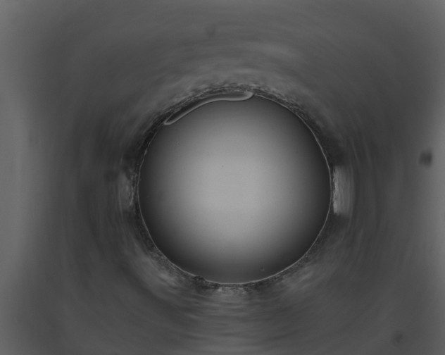 X0000093531491200710191342