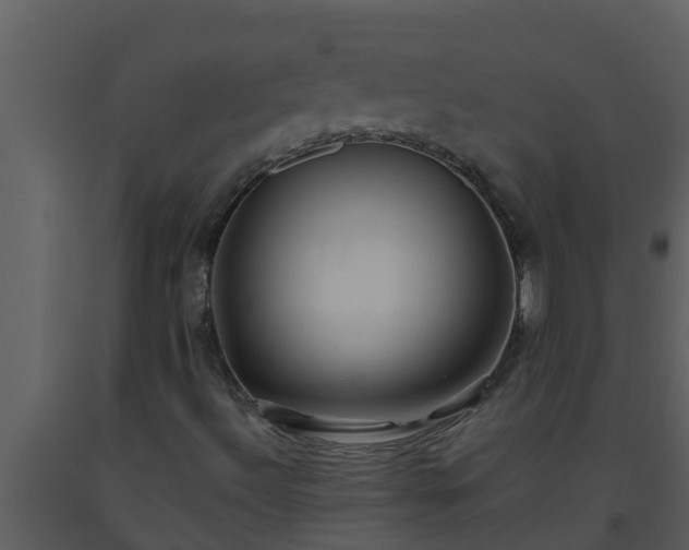X0000093531492200710191342
