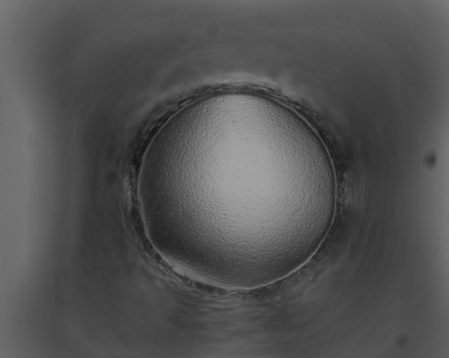 X0000093531493200710191342