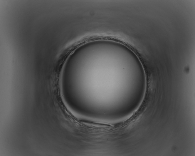 X0000093531494200710191342