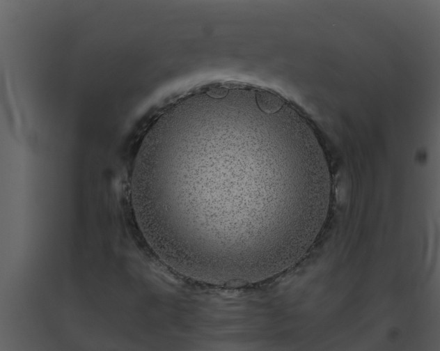 X0000093531495200710191342
