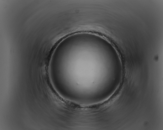 X0000093531497200710191342