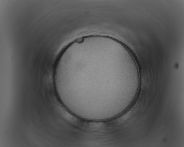 X0000093531498200710191342