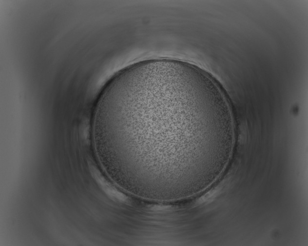 X0000093531499200710191342