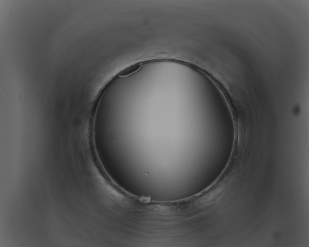 X0000093531500200710191342