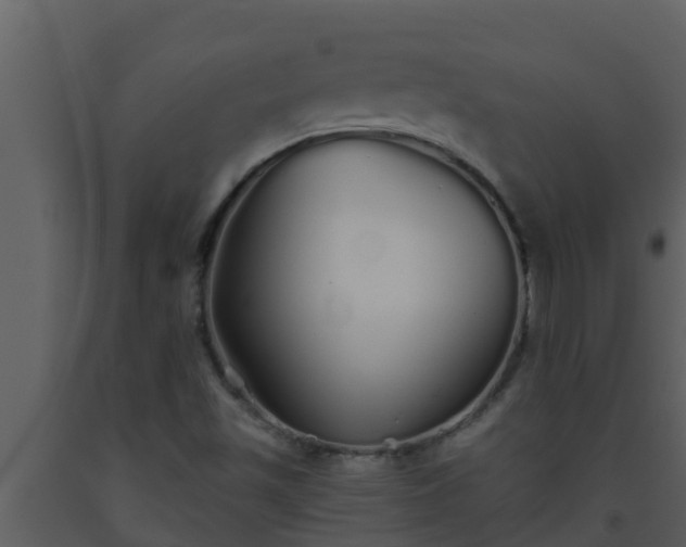 X0000093531501200710191342