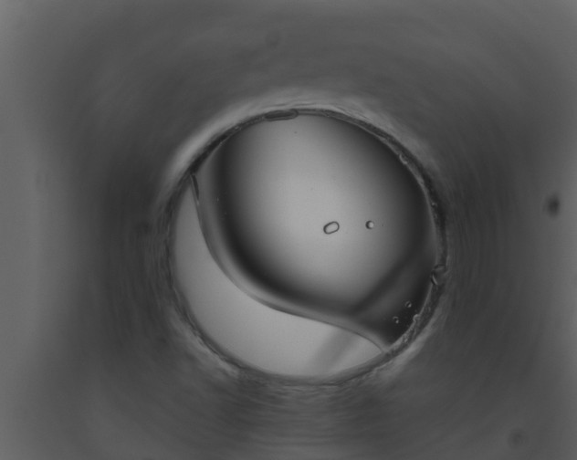 X0000093531502200710191342