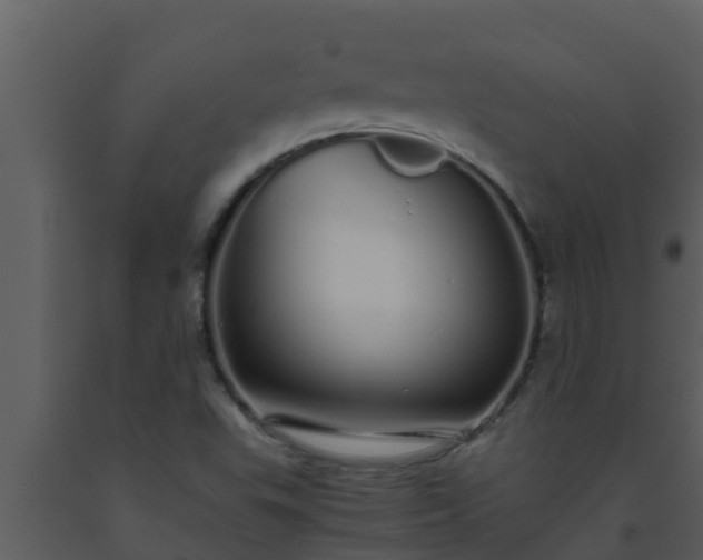 X0000093531503200710191342