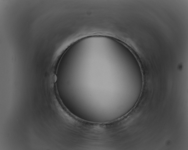 X0000093531504200710191342