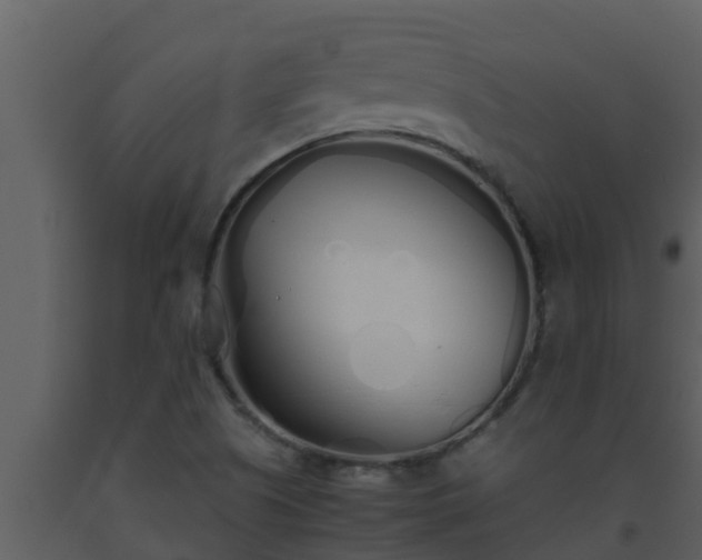 X0000093531505200710191342