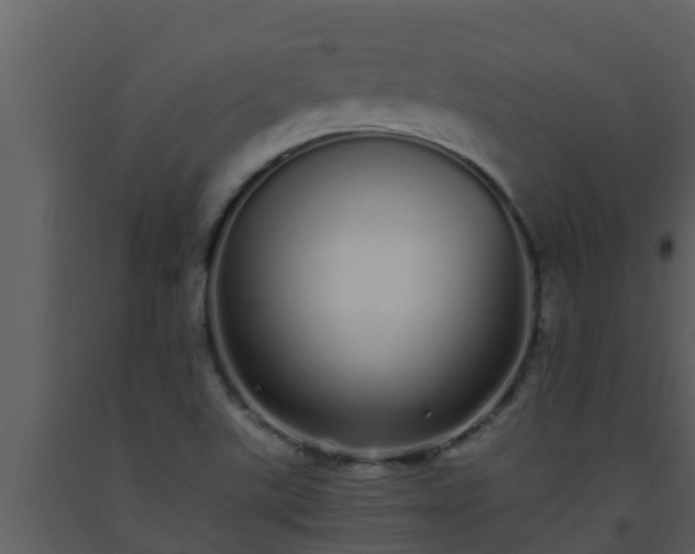 X0000093531507200710191342