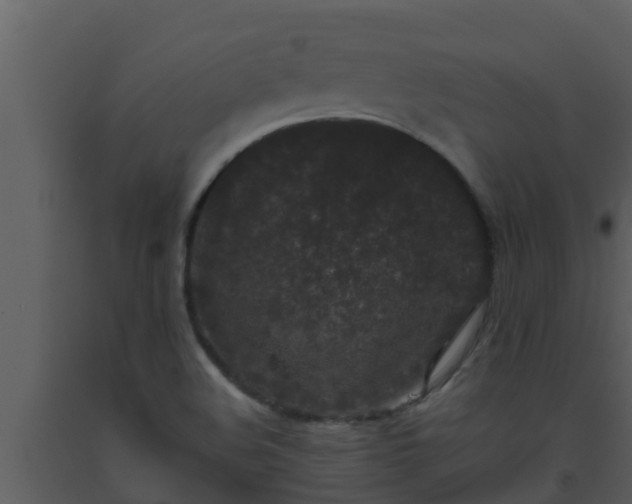 X0000093531508200710191342