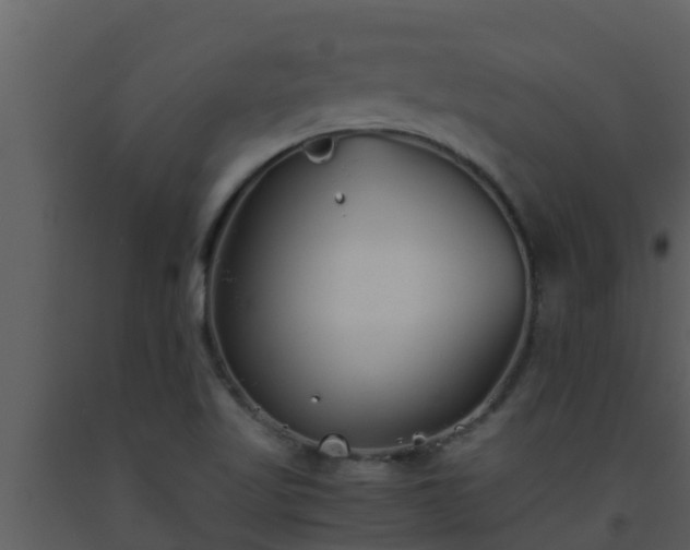X0000093531509200710191342