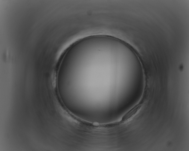 X0000093531510200710191342