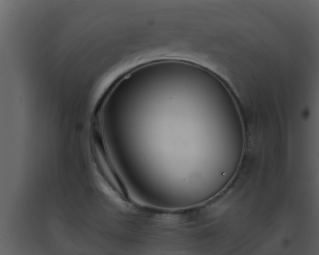 X0000093531511200710191342