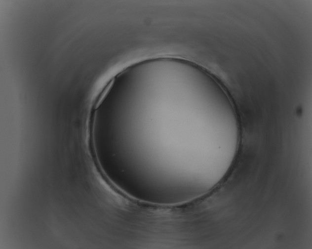 X0000093531512200710191342