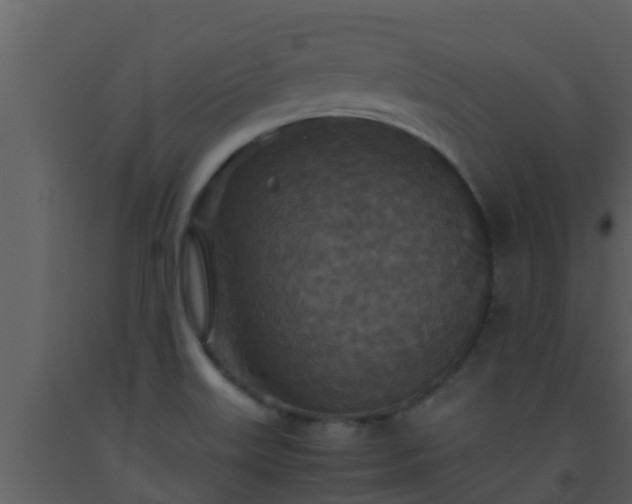 X0000093531515200710191342