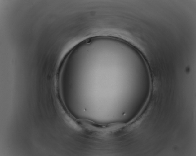 X0000093531517200710191342