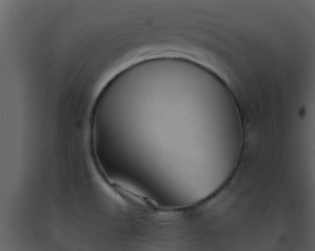 X0000093531518200710191342
