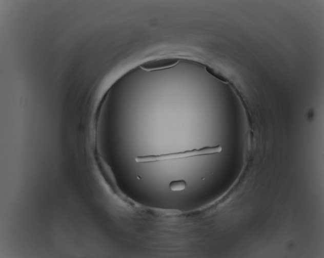 X0000093531520200710191342