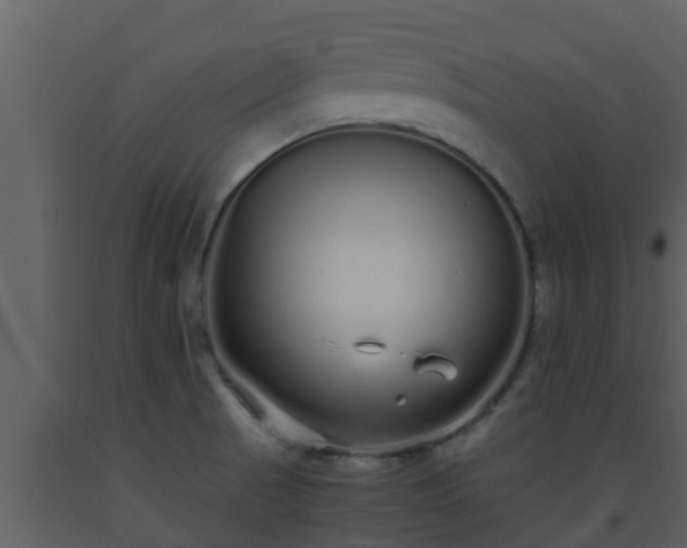 X0000093531521200710191342