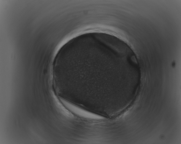 X0000093531522200710191342
