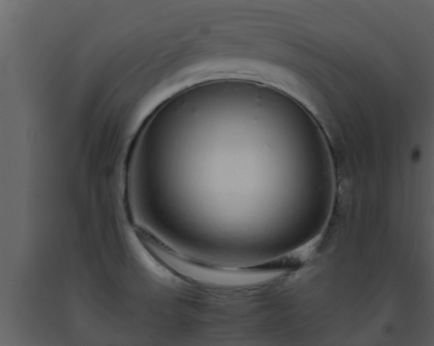 X0000093531523200710191342