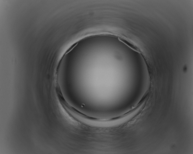 X0000093531524200710191342