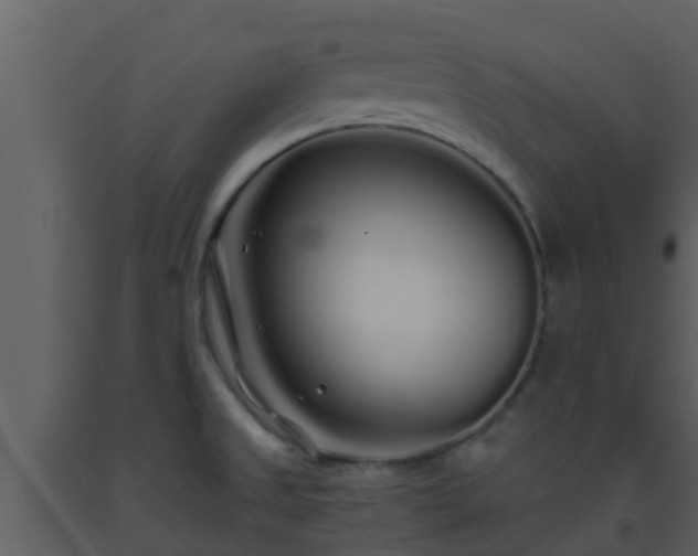 X0000093531525200710191342