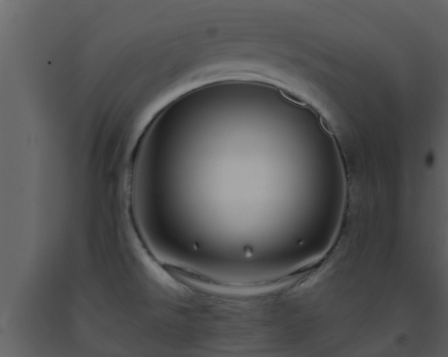 X0000093531526200710191342