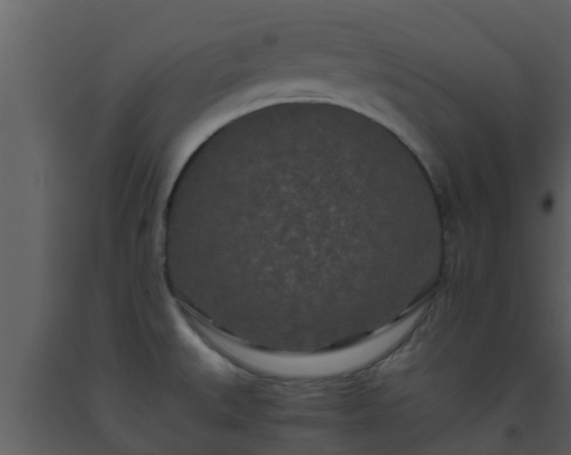 X0000093531527200710191342