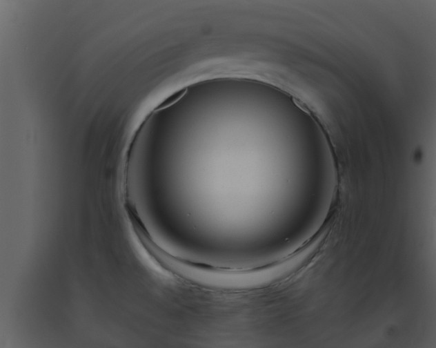 X0000093531528200710191342