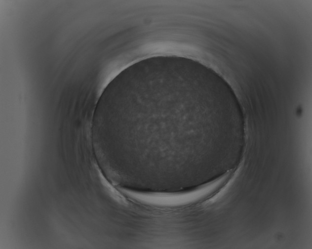 X0000093531529200710191342