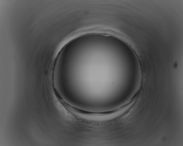 X0000093531530200710191342