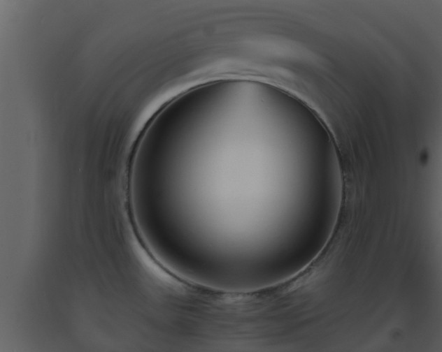X0000093531531200710191342