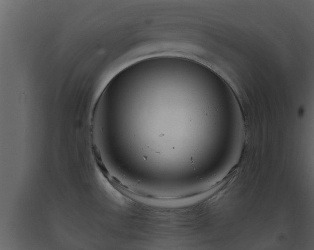 X0000093531532200710191342